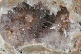Las Choyas Coconut Geode with Amethyst Crystals - Mexico #165398-2